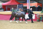 SBM_16614