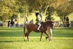 SBM_54372