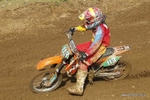 MX 291011 96