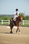 SBM_007351