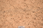 230526A-090230-00962