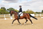 SBM_007446