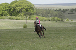 BVHT 140517  IXC -242