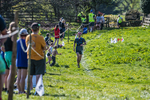 The Finish-1717