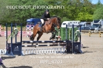 BPP_4701