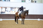 SBM_000903