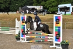 Cls 11a & 11b pony 128cm & 138cm portfolio