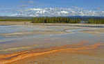 Rainbow Spring