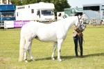 SBM_01633