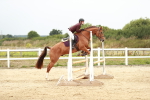 SBM_005410