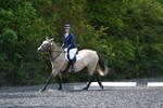 WJ5_9734