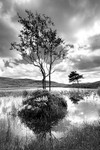Kelly Hall Tarn 02