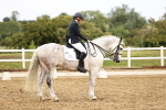 SBM_005336