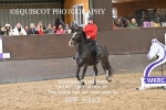 BPP_6161