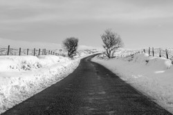 Black Ice
