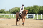 SBM_007353