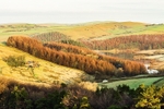Lamaload reservoir (2)
