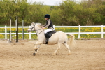 SBM_003888