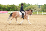 SBM_006467