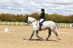 SBM_000556
