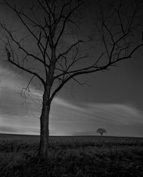 BLACK AND WHITE LANDSCAPES portfolio