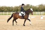 SBM_006923