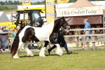 SBM_08761