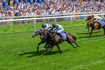 270626-Race 3-Naanas Shadow-0214