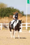 SBM_018296