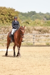 SBM_003607