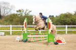 SBM_005446