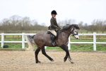 SBM_007521