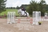 BPP_1666