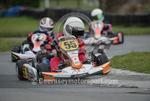 KARTING 2015 portfolio