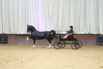 SBM_001015