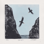 Choughs