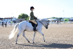 SBM_08849