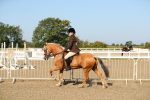 SBM_01200