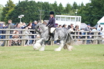 SBM_17159