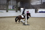 AJG_0277