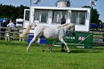 SBM_01074
