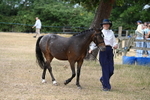 WJ6_7956