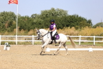 SBM_009349