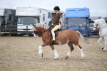 SBM_006141