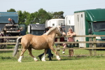 SBM_02055