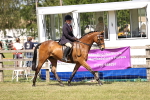 SBM_17986