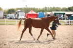 SBM_07080