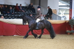 SBM_10637