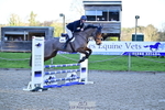 1 British Novice and 90cm Open portfolio