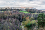 Lagan Valley Regional Park  in Transition